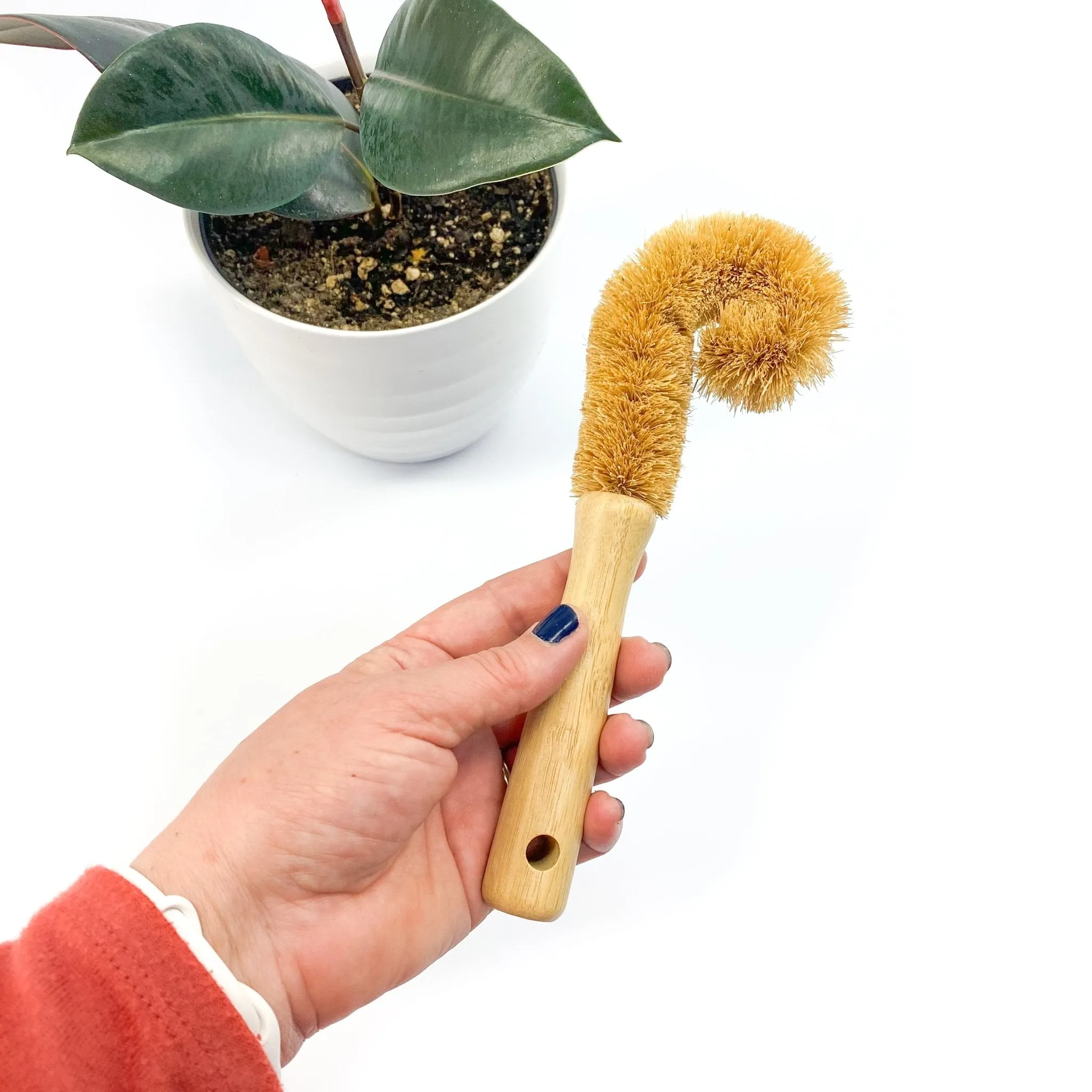 Cleaning Brushes: Coir