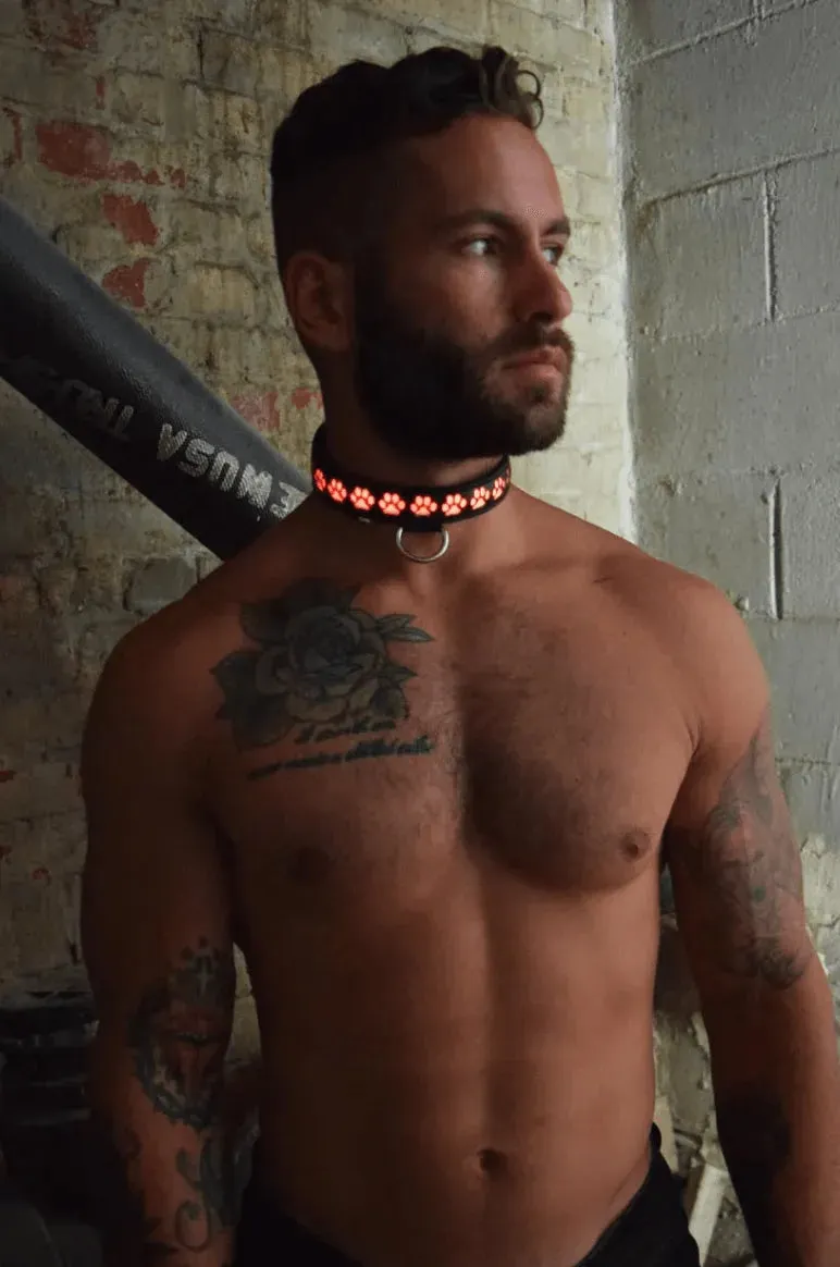 GLOW PUP COLLAR MULTI SELECTIVE ONE SIZE
