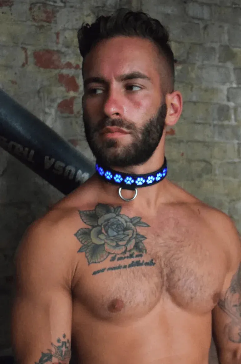 GLOW PUP COLLAR MULTI SELECTIVE ONE SIZE