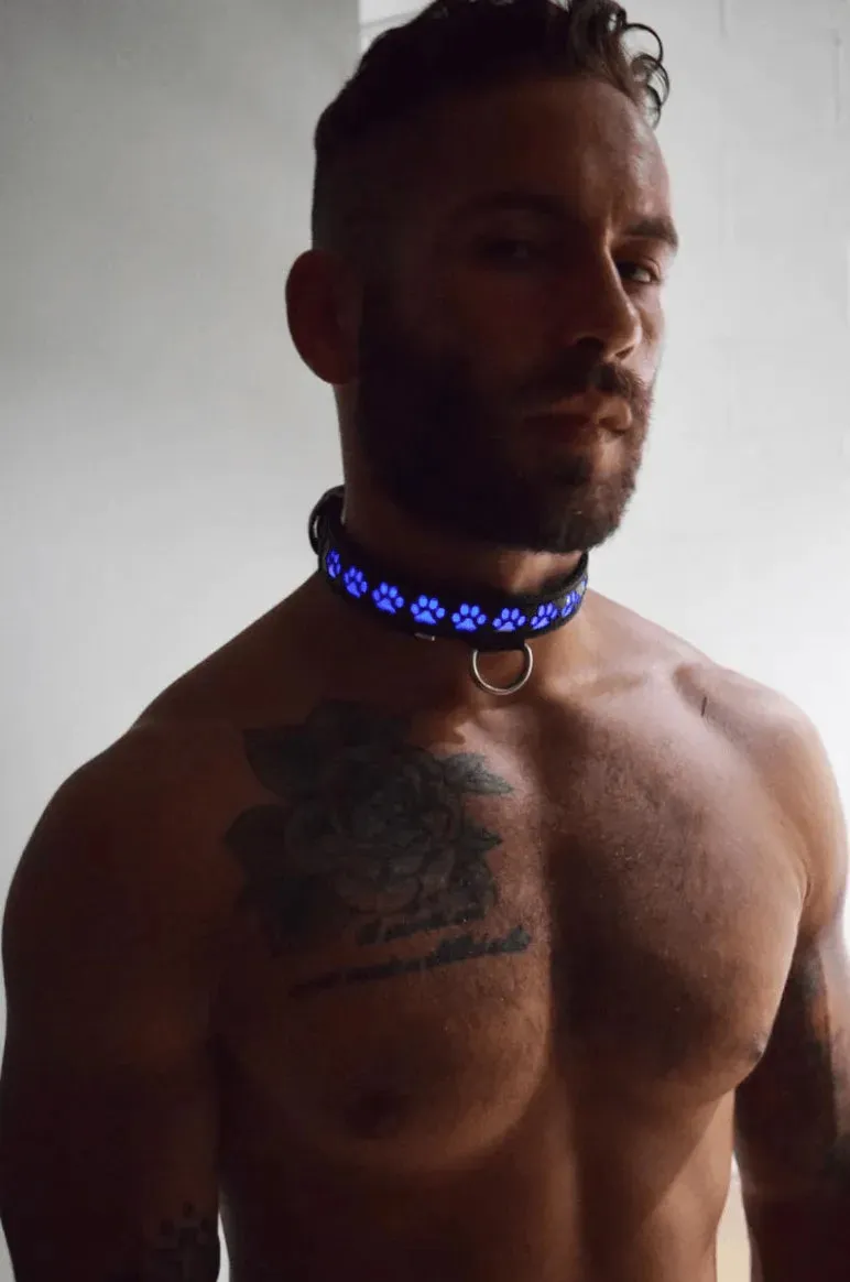 GLOW PUP COLLAR MULTI SELECTIVE ONE SIZE