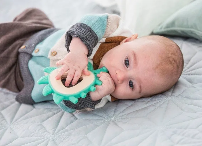 Hape Teether Hedgehog