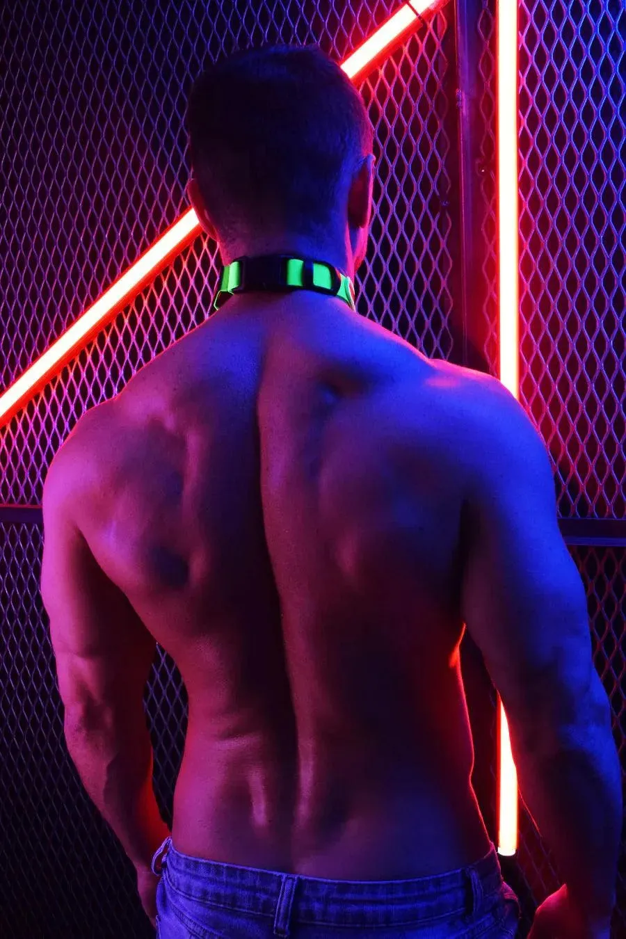 POUNDTOWN COLLAR NEON GREEN